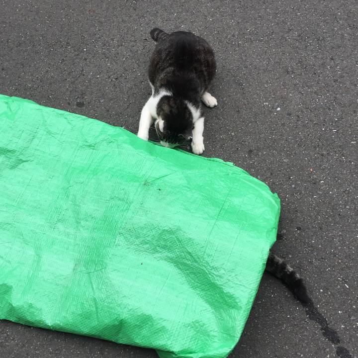 6151a6de a931 4f7f a765 390f4fb28c7f