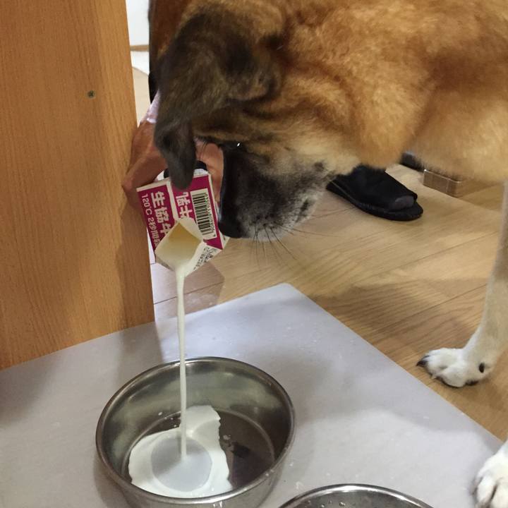 6151a712 aa19 4b3c 92f0 966eb98cb239