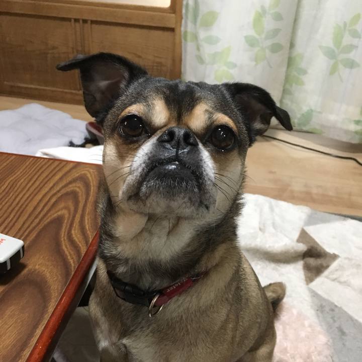 61520699 53aa 4d45 bd61 c7e316e30c39