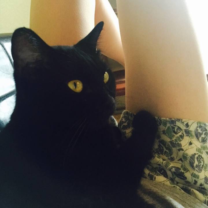 61524262 df2c 47f0 9503 d6dea6fd0ef8