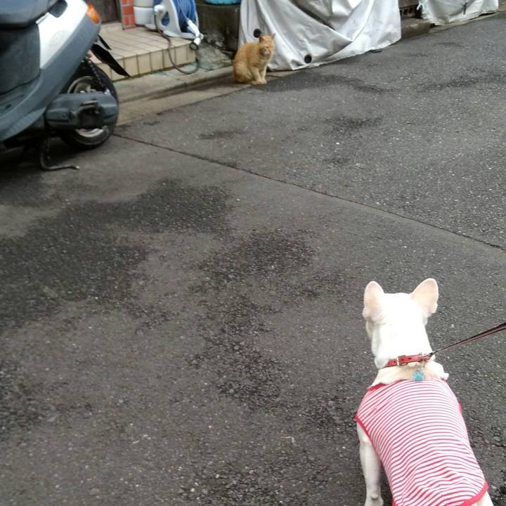 61530060 6979 481a 9c95 fcfa4d15ddd7