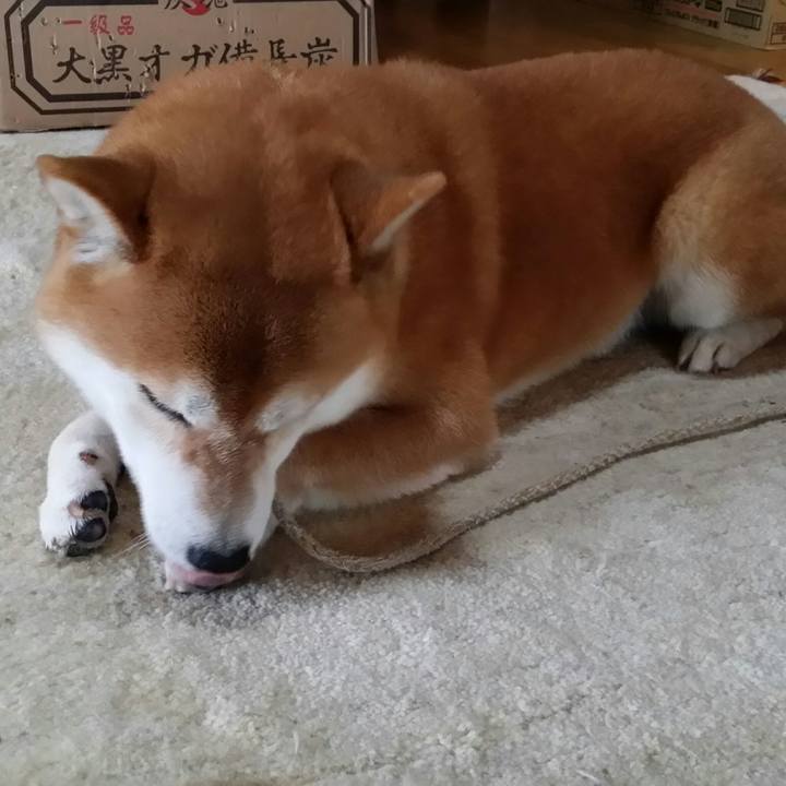 61533c6b 61c3 4684 975b 0927352d8c51