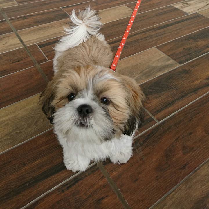 61536dea b5f3 4f69 a92b 8a9ee8e577e0