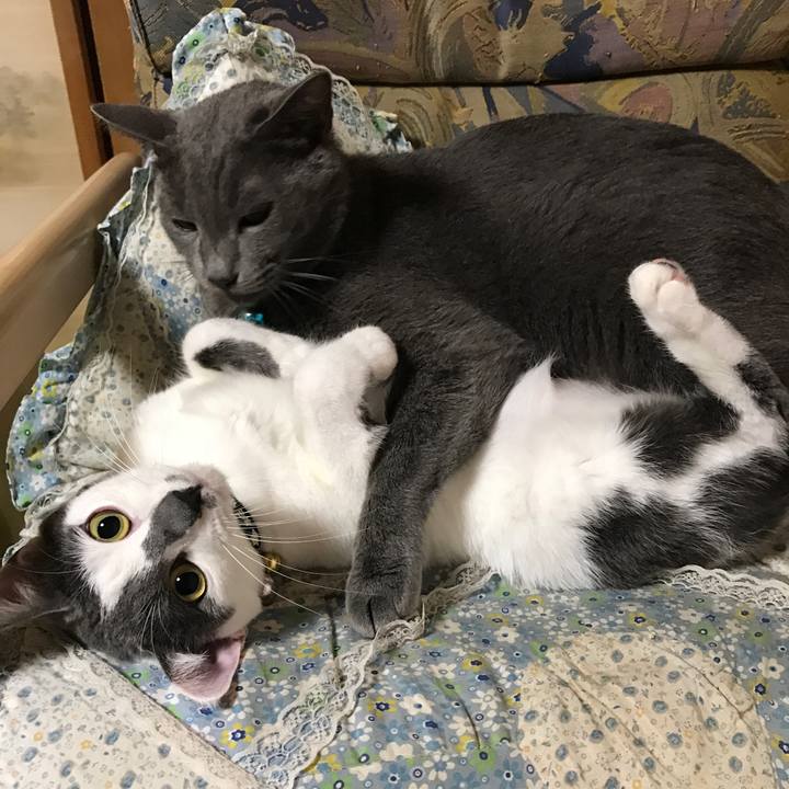 61538a4d 4e48 428a a33d ef4459cbb9fa