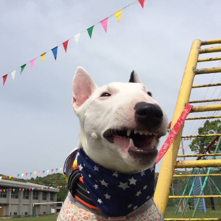 6154ca32 27d8 430a aa33 6bdb0b6ecf48