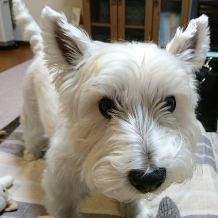 615584ec bced 484b ab57 74f3347c83e7