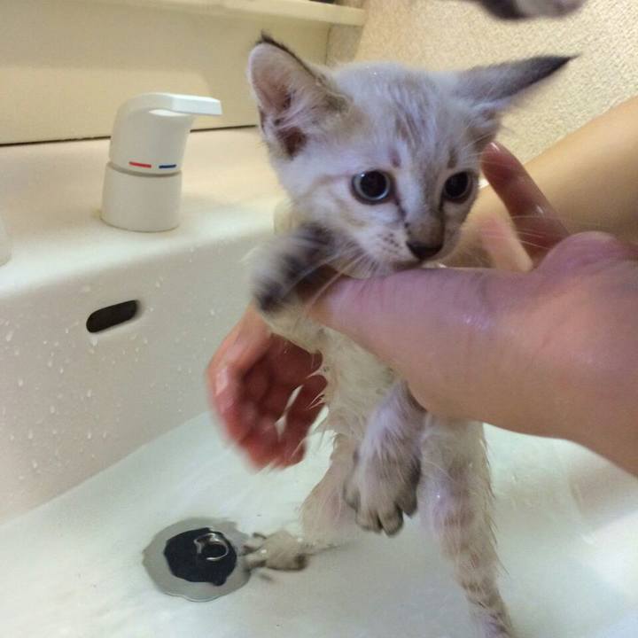 6155a647 5f8e 4046 b49f 558b7f42bb7a