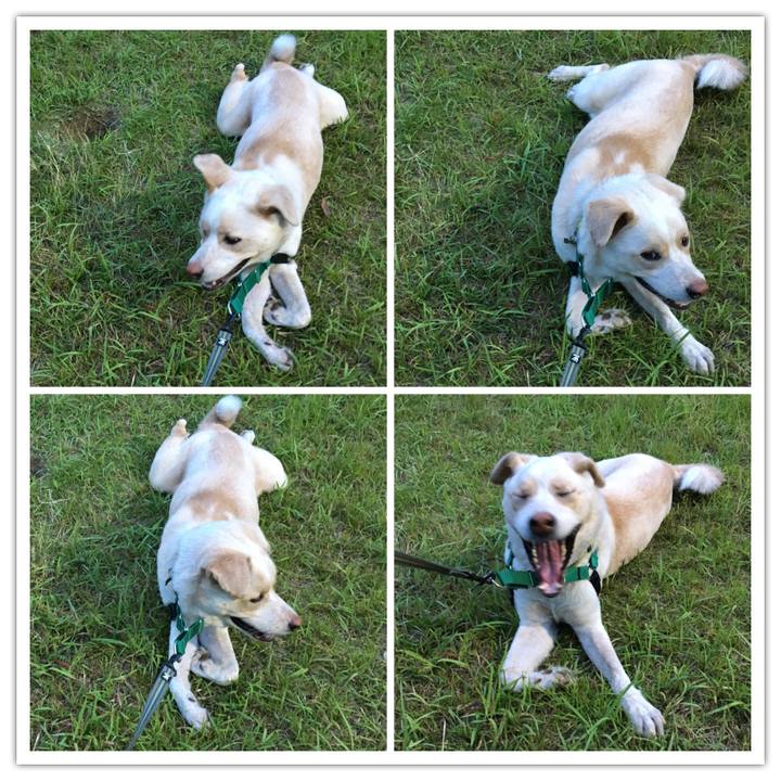 6155b121 a174 4e34 bf03 4bf45b0d2ae7