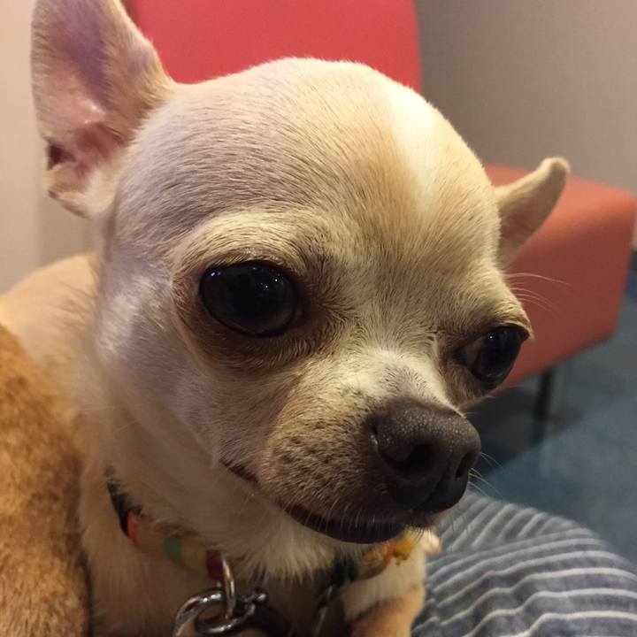 6155b64b 5059 4153 bb91 2d76c1457741