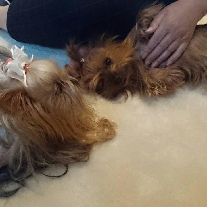 61562cab e506 4ef9 981d 3400ca4bdd1d