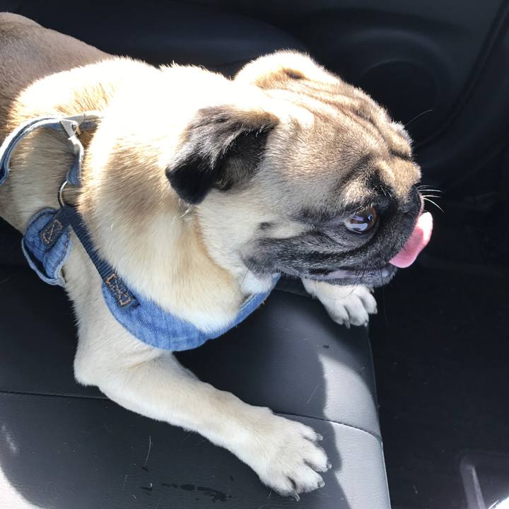 61565283 6393 4290 a2f4 223ce60c8681