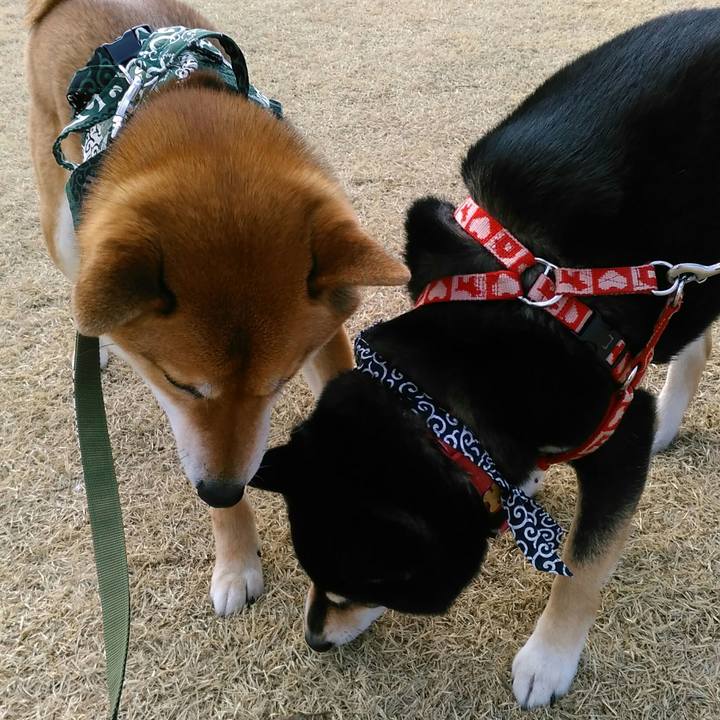 61569845 b3f2 4e64 9eb5 f40ab4bd4450