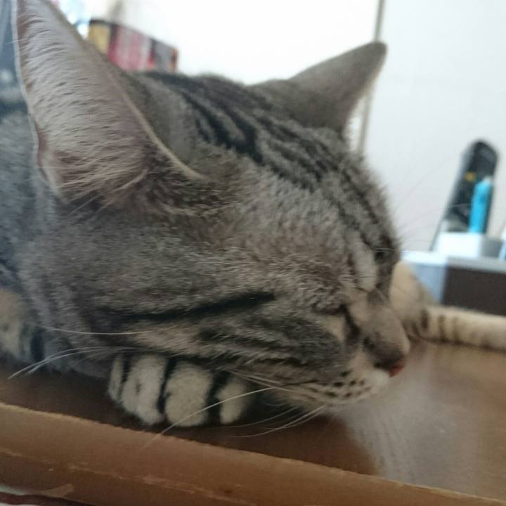 6156fd03 b458 4476 8d84 e4c876261e37