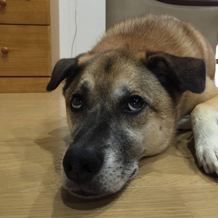 6157589b 04b6 4805 9922 caea327b395f