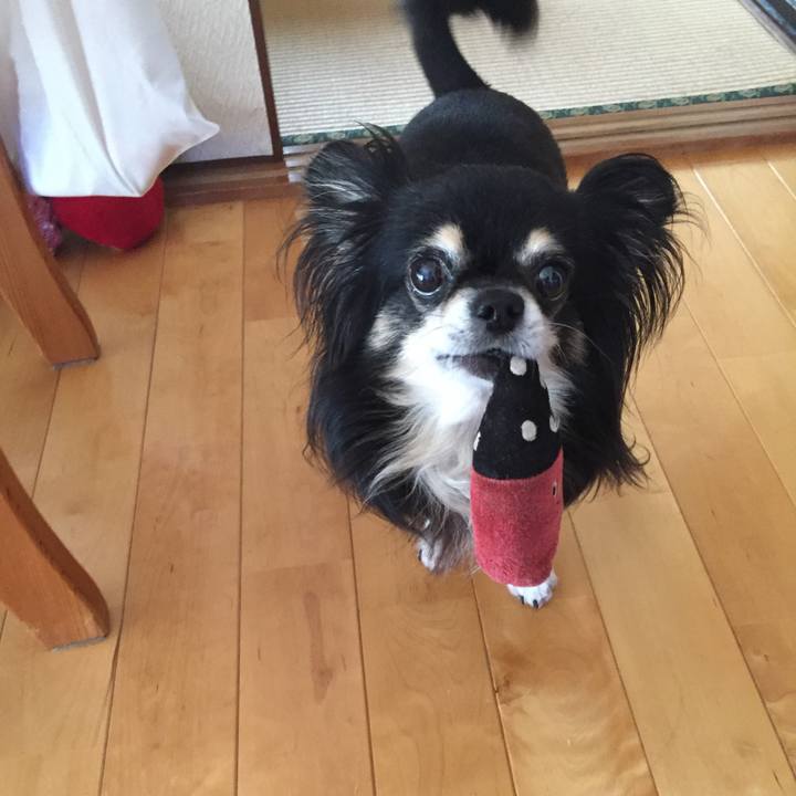 615852ba 1697 40e1 bada 6baeff20c80f