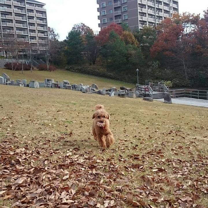 6158ada6 e471 498a 95e7 f965cc6a090f