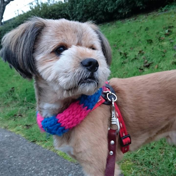 6158c107 0a26 40fd 85a1 6c9c88087c3b