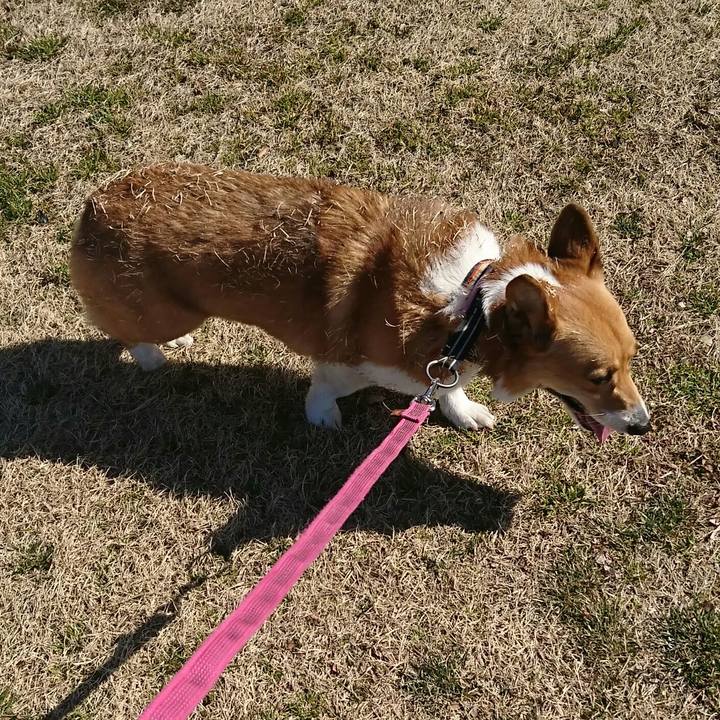 61593ea5 082a 4da9 9a25 6a8a848e5e39