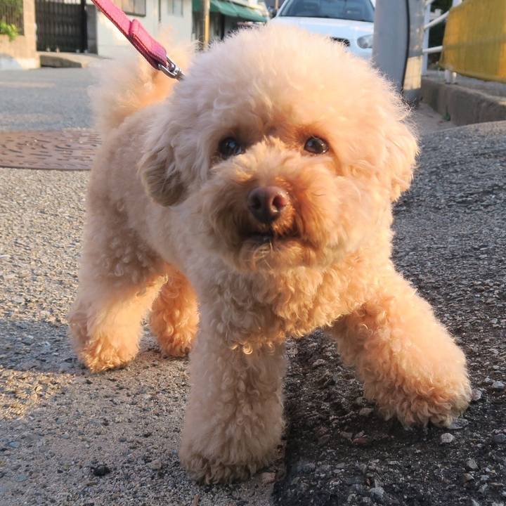 6159a213 a90a 4799 8433 1ef2fbe060c7