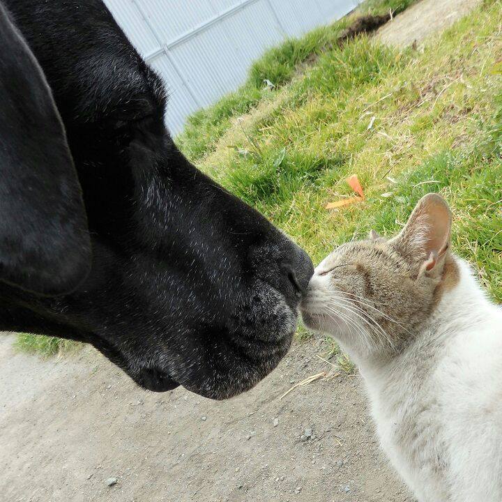 6159b90f 8871 44bd a1fd d6ed7dcc1f94