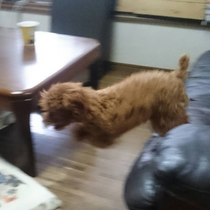 6159c25b 23c5 4967 99b8 12cd7a7fc73c