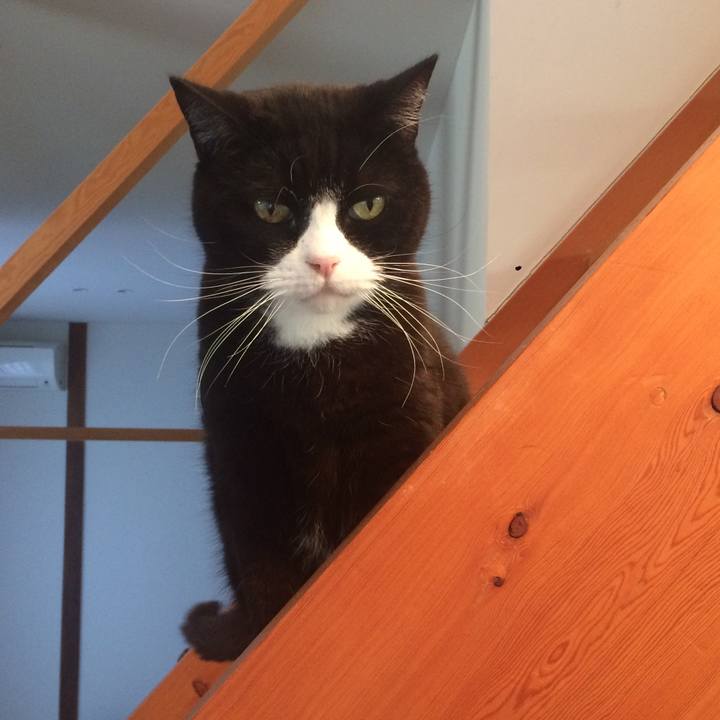 6159dd4c 2692 4c39 8614 7126531ab280