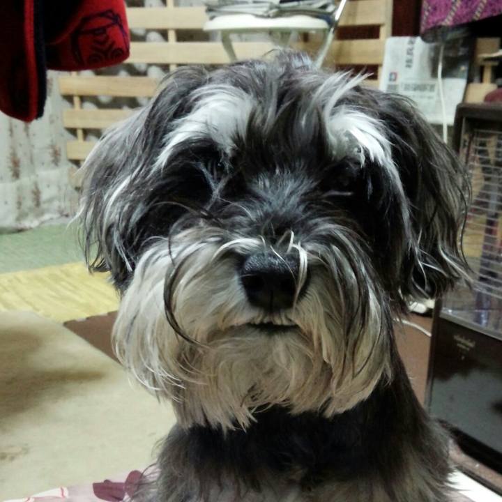 6159f796 7a58 44a6 abe5 0d1810c20b27