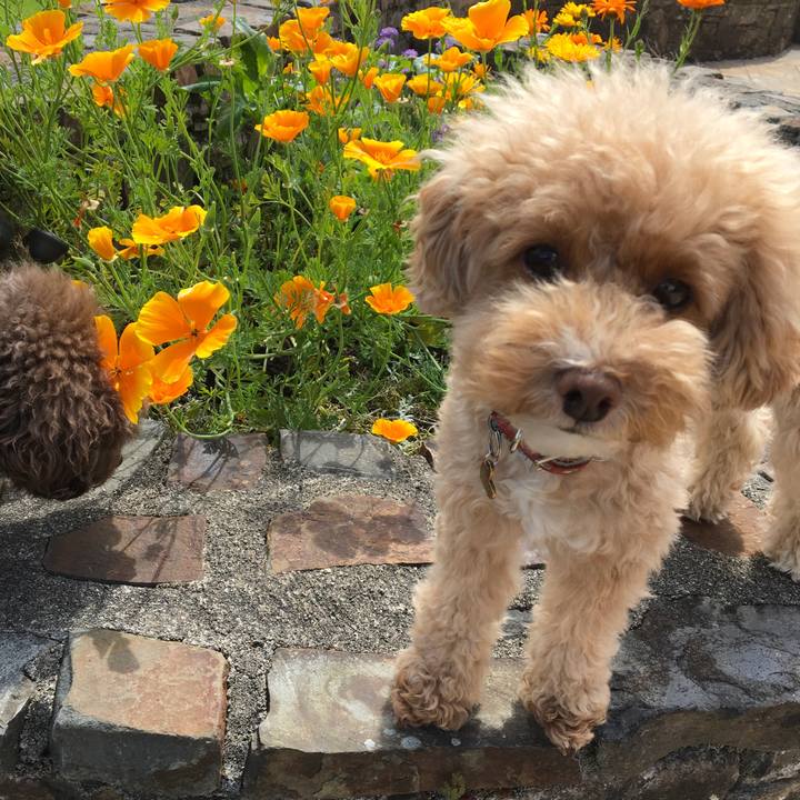 615a7aad 8f29 4cd9 9920 37d23777bf3d