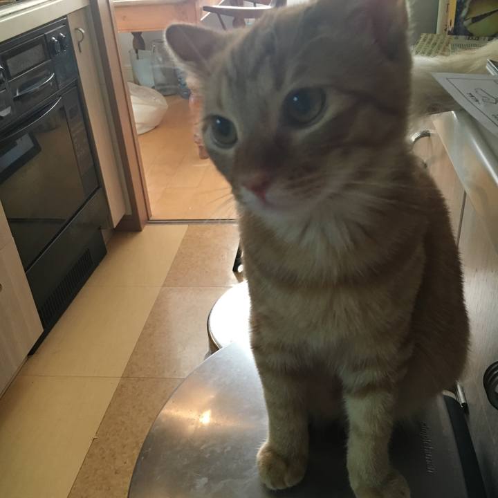 615abef0 ca83 48b1 a424 b5e6b05c38e3