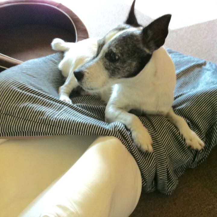 615b59ae 6918 4685 a3b8 83684467e05e