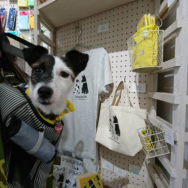 615bae41 b440 4bc1 ab08 6540a2888264