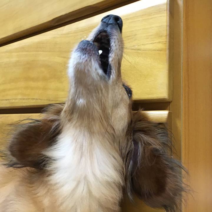 615c1ccb 07fc 429f bc64 27b65eaa1acf