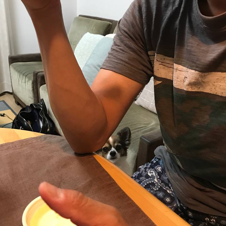 615c3bb5 8c95 4612 ae03 d1575759c450