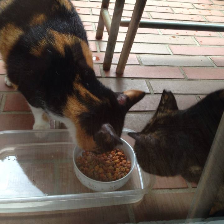 615cc363 ecb7 4c0c a9a3 e8d84fcf0eda