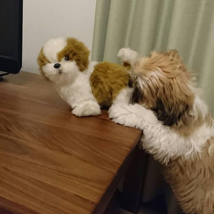 615d0545 6890 4bfd 917e e4f2f4d05c70