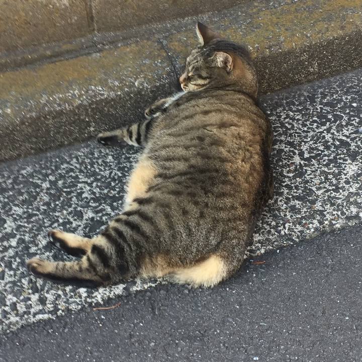 615d36d2 6db3 48a0 a3bf 85516b074acb