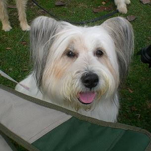 615d598b 1c4f 4c50 941e 2a1fb0363d0d