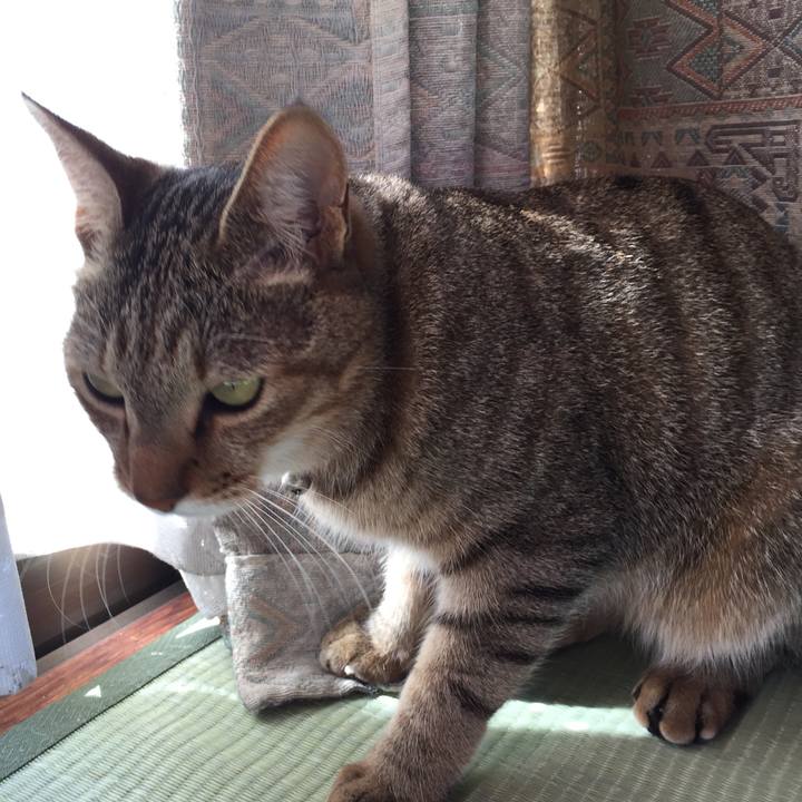 615d94a6 e631 4538 b0aa fd867eadd943