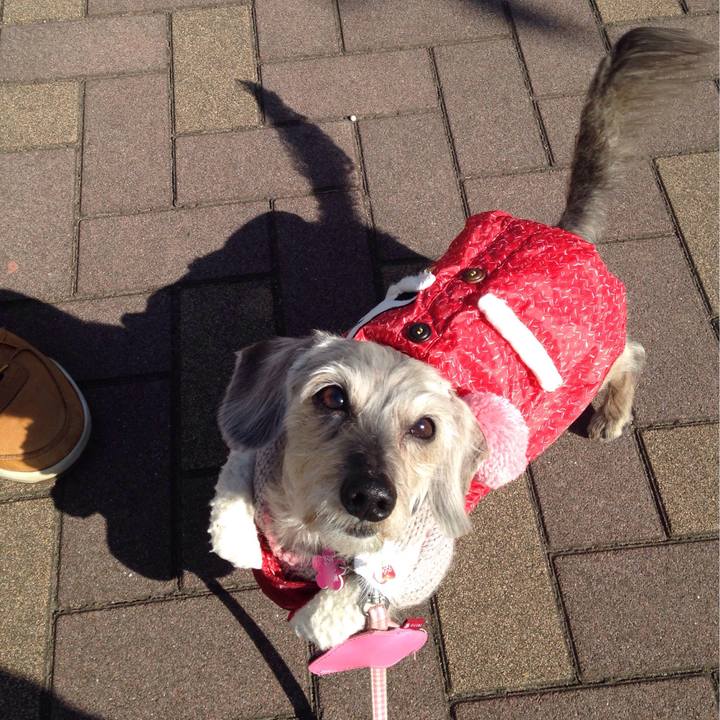 615dbacd b0b2 4bb8 95b4 c90895204ae8