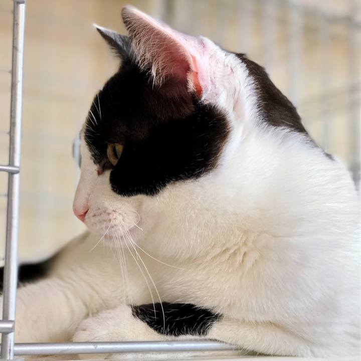 615e209b ad15 4da4 af82 5c69d2e26052