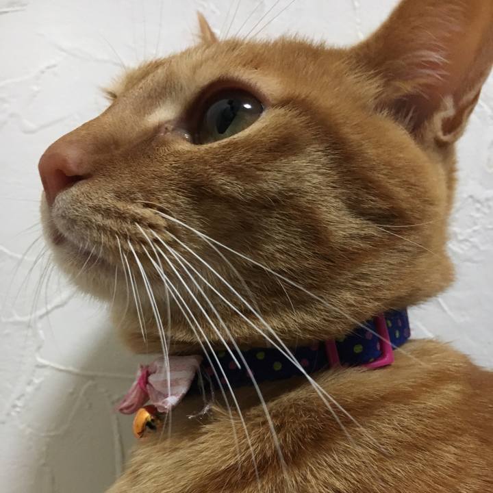 615e3494 40a7 4b1c 9966 e138a336887b