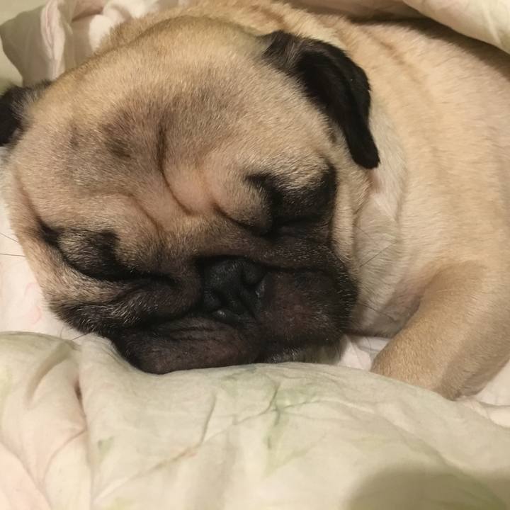 615ec65a 4138 4b8a 9b3a 728215e01b65