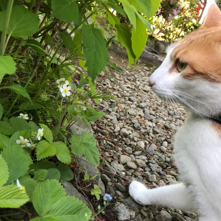 615edbbd 76aa 4d30 8697 bf31cf774905