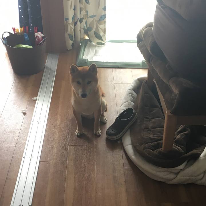 615ef4f1 ee71 4177 a880 7ed3337a1e80