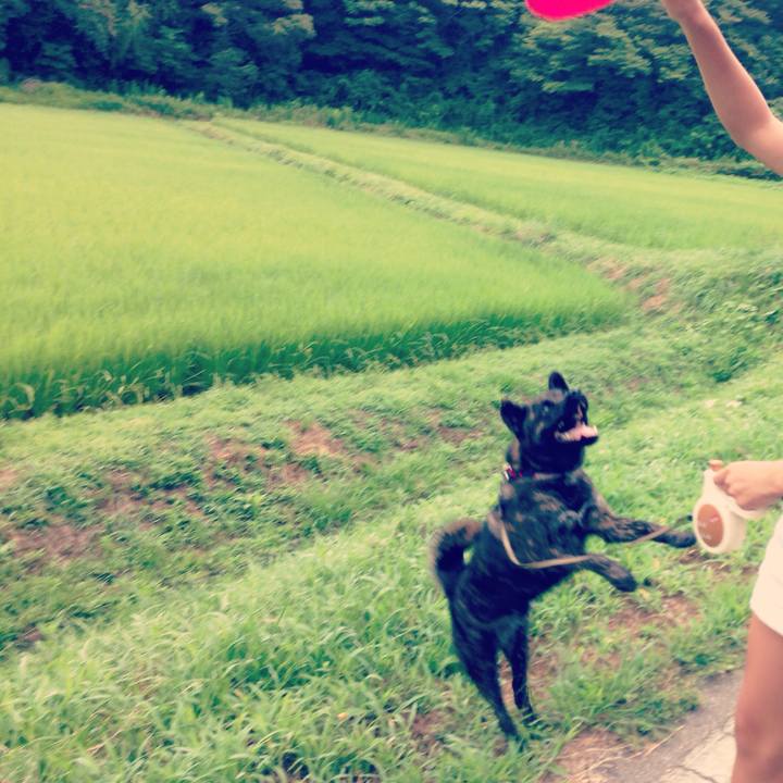 615fc386 5abf 4c97 9e53 91a087a63469