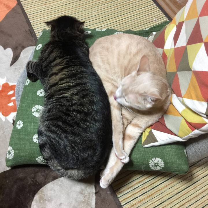 6160580e be50 4bd6 b5f0 20c04bd9f771