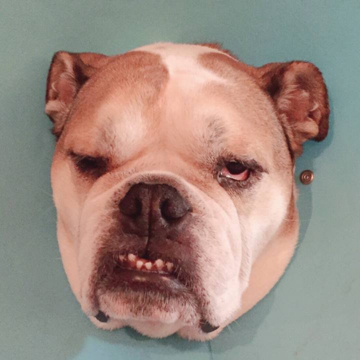 61617d46 a513 4c88 9663 e40e14d34f51