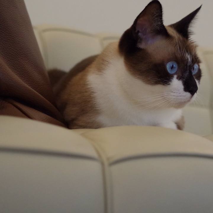 6161ae15 66a4 4912 a76a 3160e0aead9b