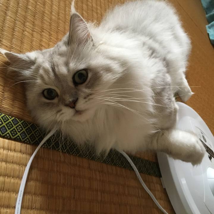 61636689 9a39 443d 87fd 229b41ee127c