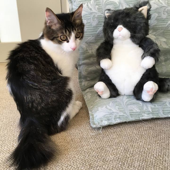 6163754c bcce 44dc 8981 08dda575fcc1